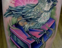 /uploads/tattoos/previews/Bird and Book