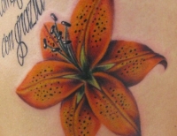 /uploads/tattoos/previews/Tiger Lily on the ribs