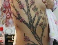 /uploads/tattoos/previews/Cherry blossom