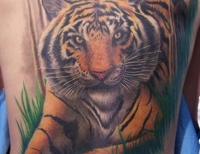 /uploads/tattoos/previews/Deanna's Tiger