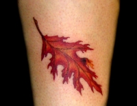 /uploads/tattoos/previews/Fall Leaf
