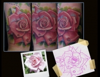 /uploads/tattoos/previews/Pink Rose