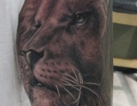 /uploads/tattoos/previews/Wildlife Lion Portrait