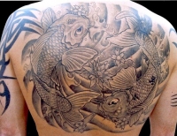 /uploads/tattoos/previews/Black and Gray Koi Fish