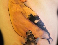 /uploads/tattoos/previews/GoldFinch bird