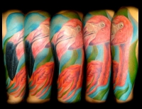 /uploads/tattoos/previews/Flamingo tattoo half sleeve