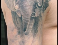 /uploads/tattoos/previews/elephant