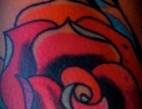 /uploads/tattoos/previews/Traditional Rose tattoo