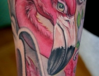 /uploads/tattoos/previews/Flamingo