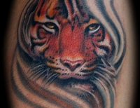 /uploads/tattoos/previews/Custom Tiger