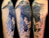 /uploads/tattoos/previews/Great Blue Heron
