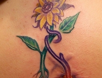 /uploads/tattoos/previews/Sunflower 