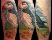 /uploads/tattoos/previews/Arctic Puffin