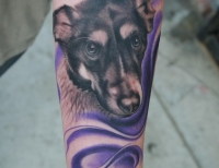 /uploads/tattoos/previews/Dog Portrait