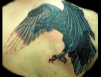 /uploads/tattoos/previews/Large raven covering up an old dove