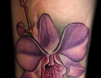 /uploads/tattoos/previews/Purple Orchid tattoo