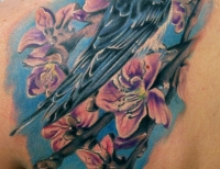 /uploads/tattoos/previews/Bird in Cherrytree