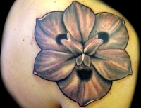 /uploads/tattoos/previews/African Iris Flower Memorial